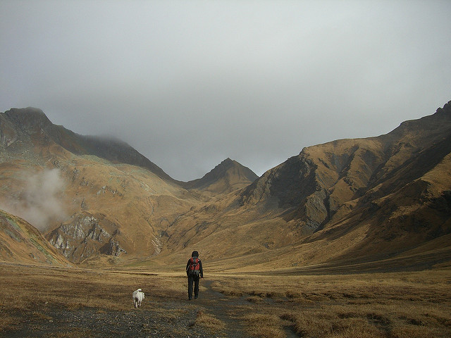 282554016_f08bb13781_z