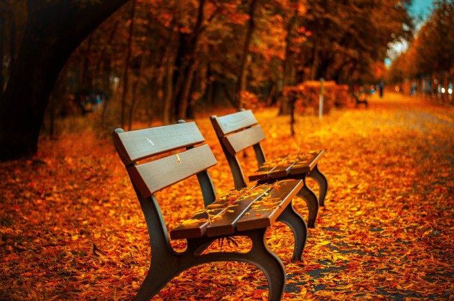 park-bench-2