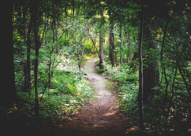 How to Find Your Way in the Realm of Traditional Publishing | The Spinning Pen