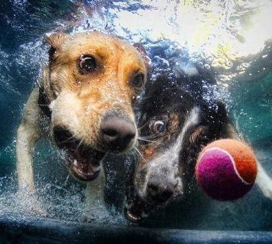 bcb64f28ebf724ec6db618efbc9b0ce0